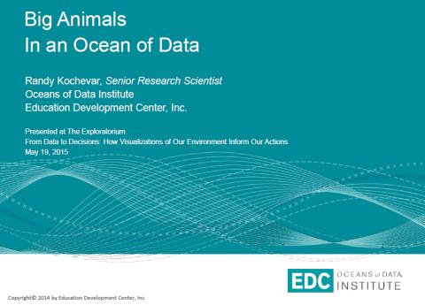 Big Animals in an Ocean of Data